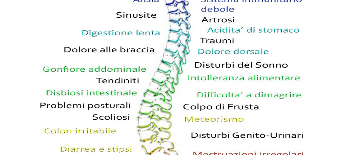 Domande Frequenti (F.A.Q.)